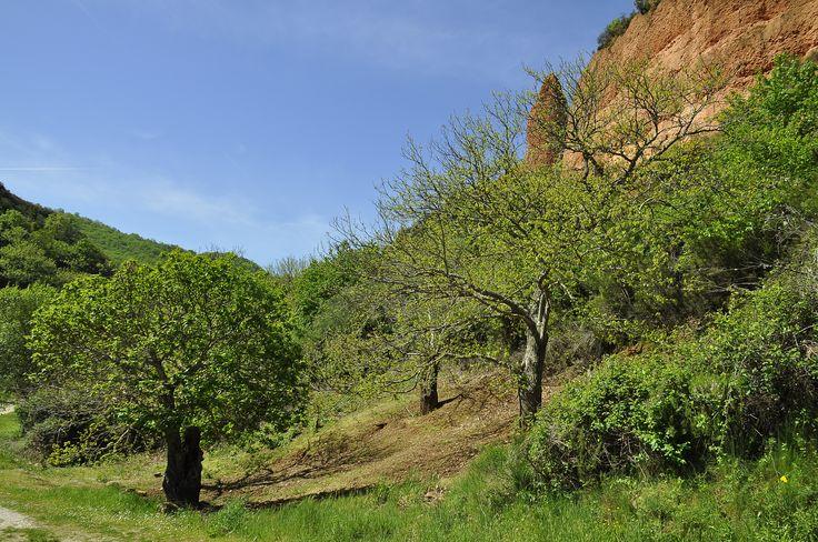 medulas en el bierzo