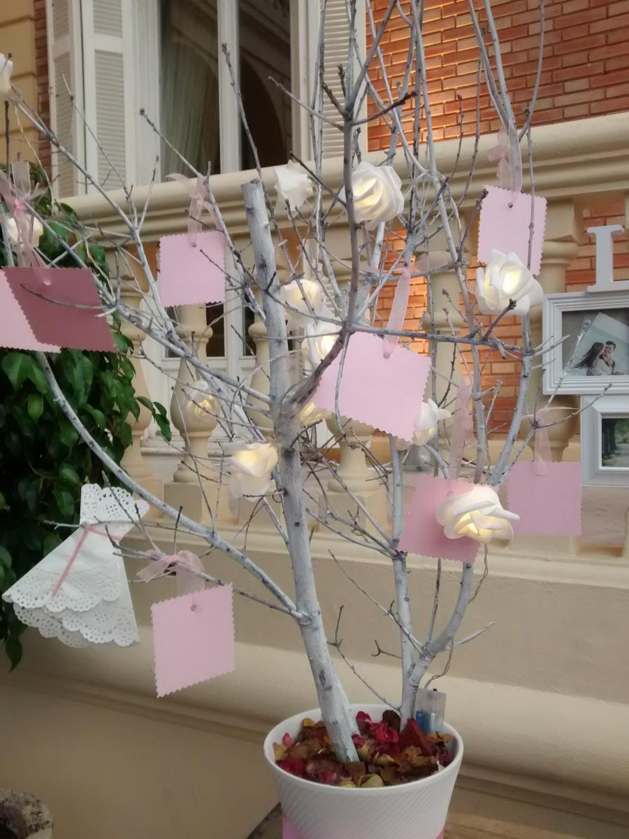 IMG_20150704_213508473