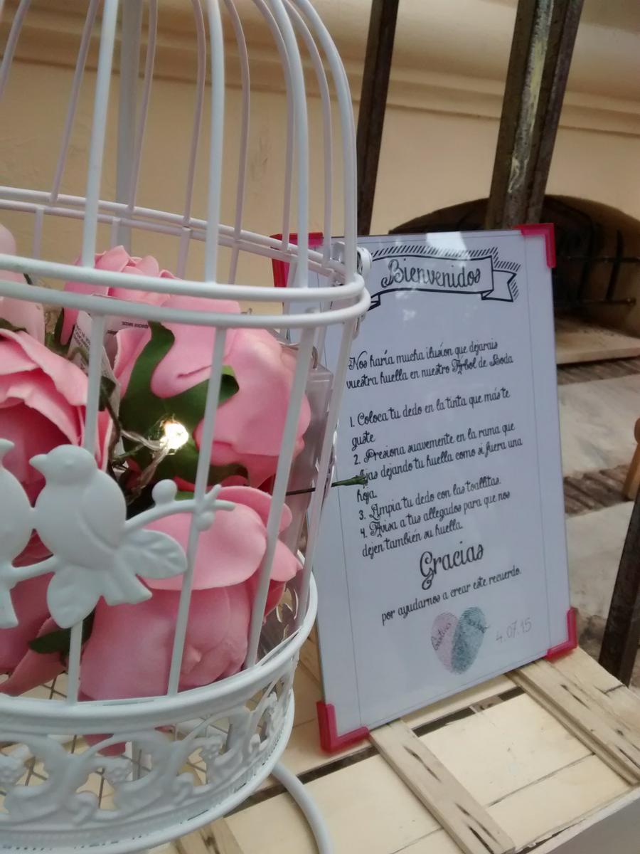 IMG_20150704_213518733