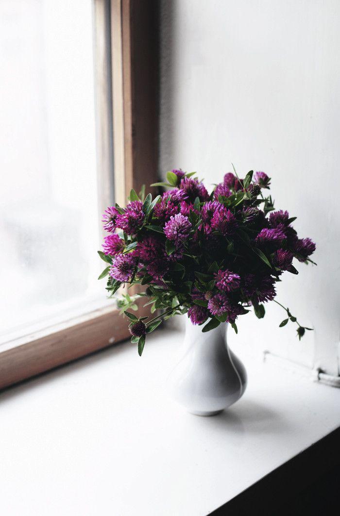 Decorar ventanas con flores