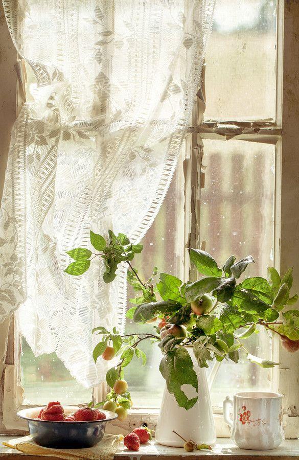Decorar ventanas con flores