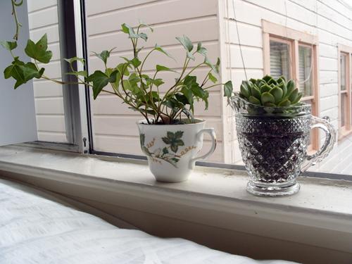 Decorar ventanas con flores