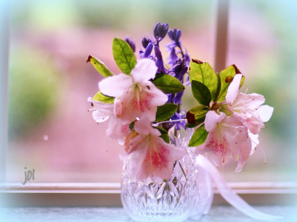 Decorar ventanas con flores