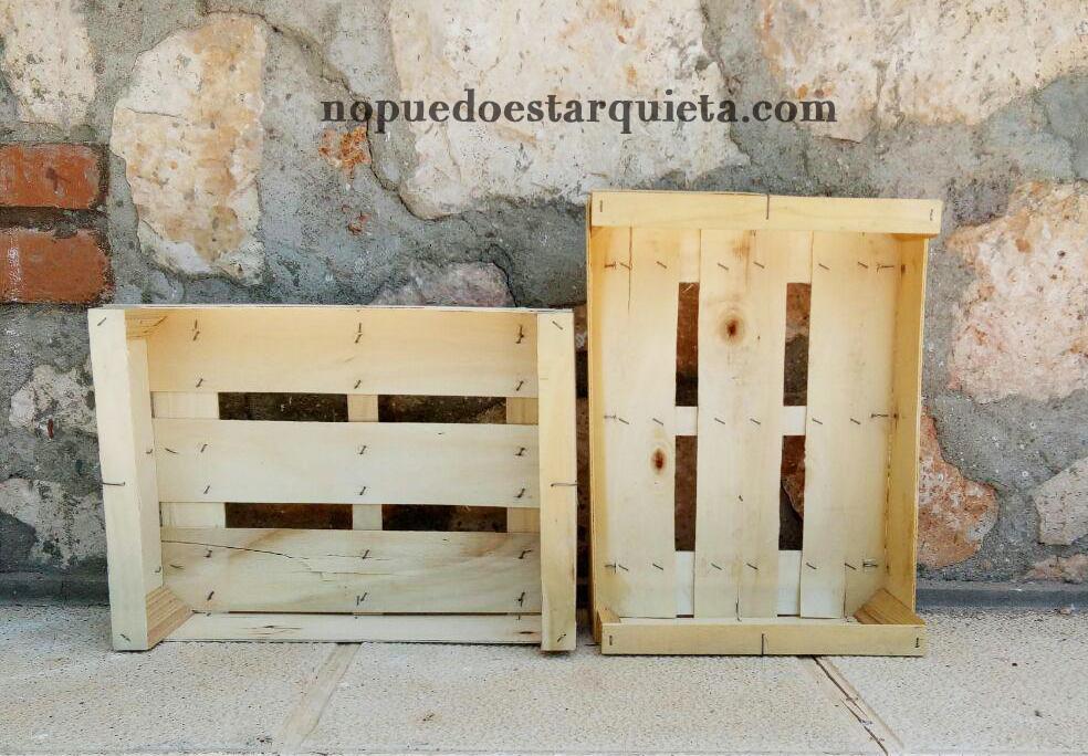 insectario handmade cajas