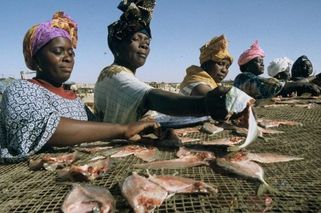 novasol spray oxfam 1