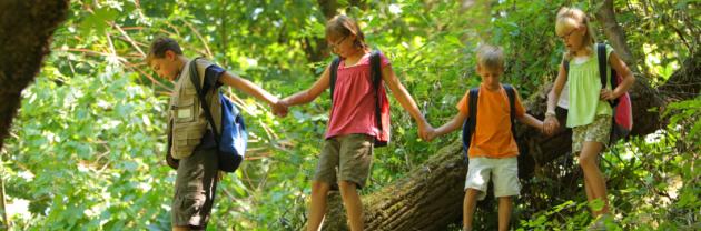 Colonias de verano para los más pequeños