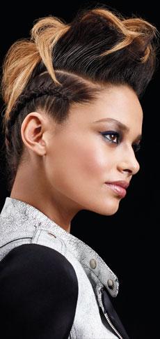 Recogido con trenzas Matrix