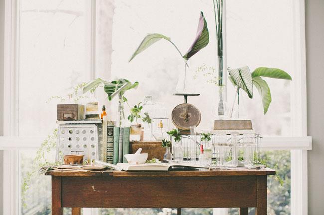 boda botánica - Decoración de bodas en All Lovely Party