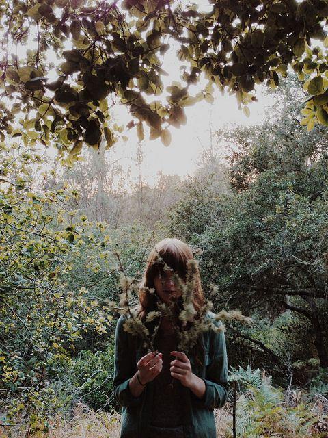 bca099a2af3b0a299e03edeec77f16e1