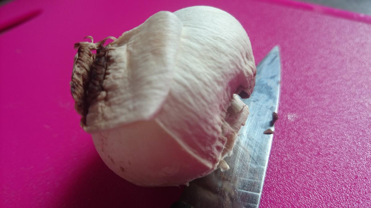 champiñonesrellenos-piel