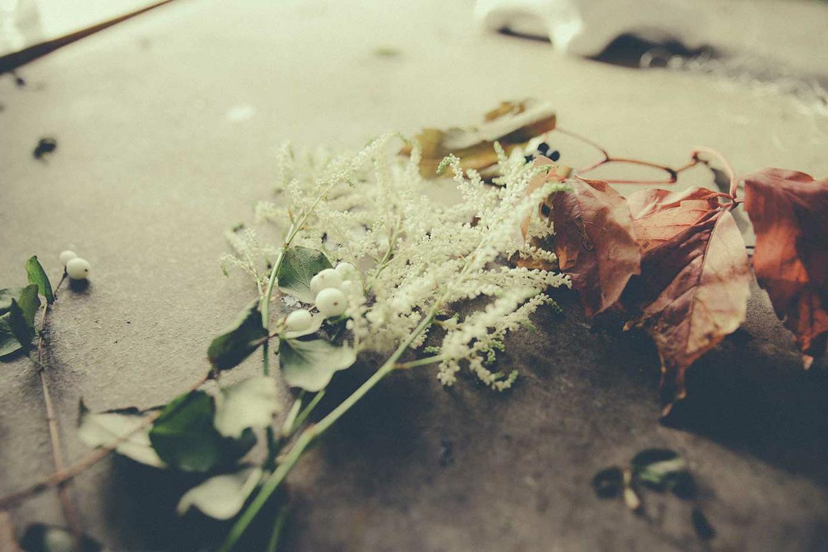 Homelifestyle-Sauvage-Estudio-flor