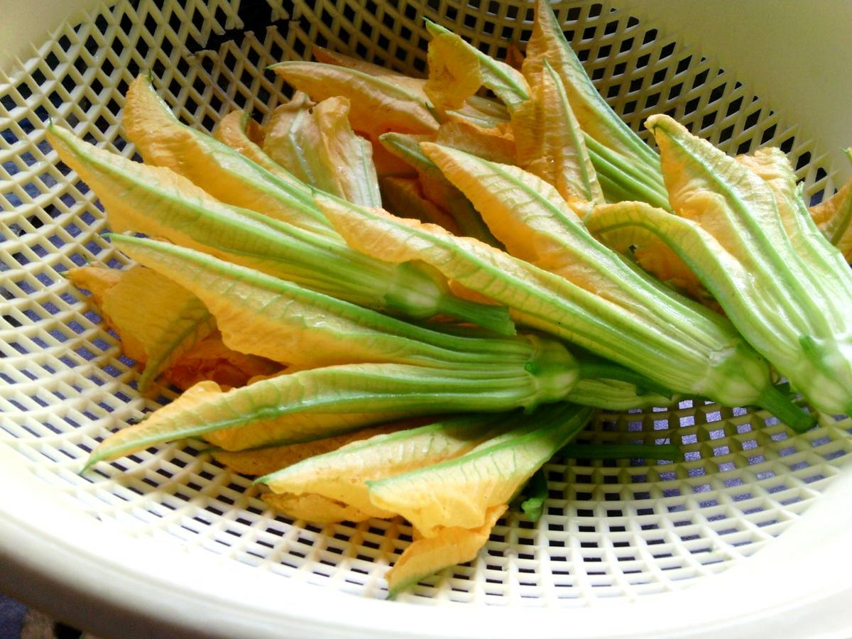 florescalabacinricotta1