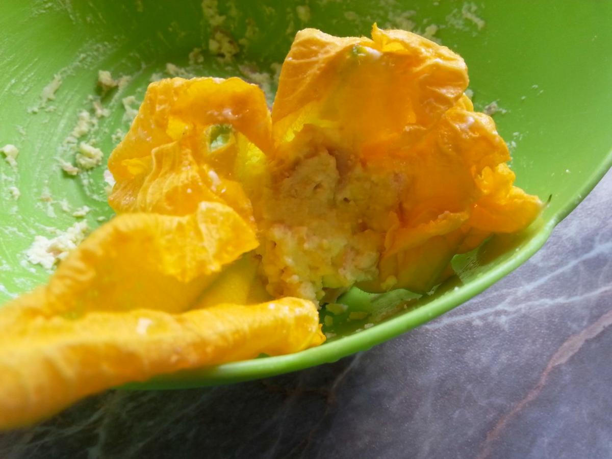 florescalabacinricotta5