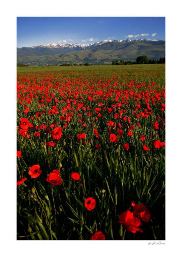 5db41215eebd476d3e383bae6929271d