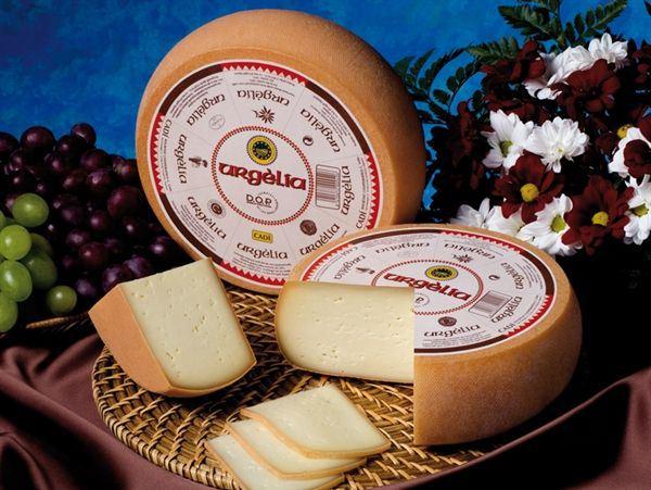 7b926a69236bc8a75cddeba9c929a058