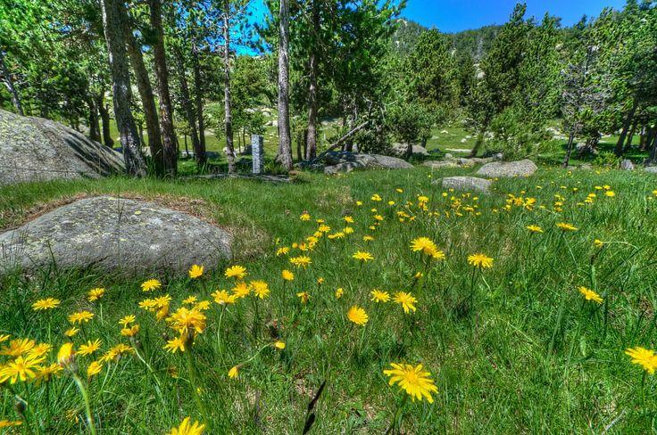 cfe613770ec507e4f00b1d771d878a1a