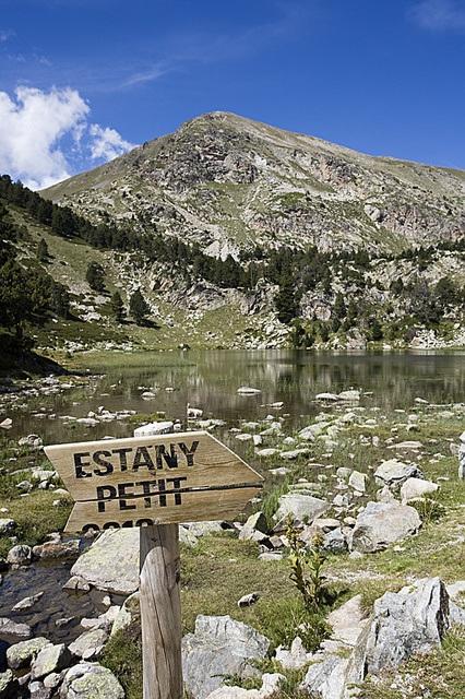 72376f13419b6c96d206313dd6da2584