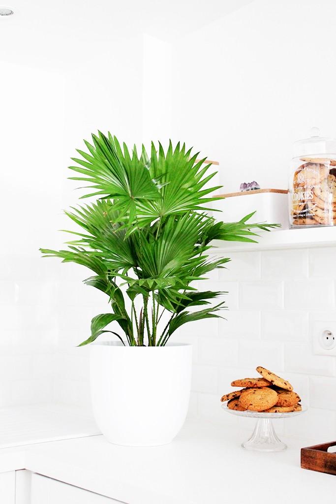 cocina-escandinavo-04