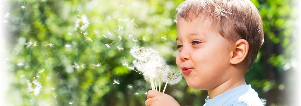 El polen es una de las cosas que más alergias causa