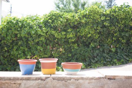 DIY macetas -citronella-65-26.jpg