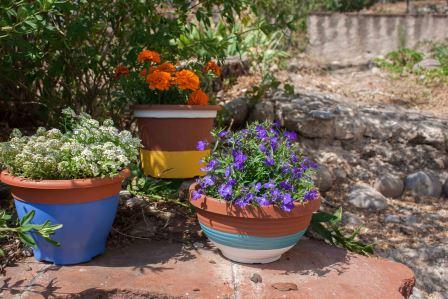 22 DIY macetas -citronella-88-34(retocada).jpg