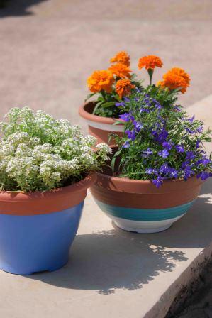 21 DIY macetas -citronella-81-95(retocada).jpg