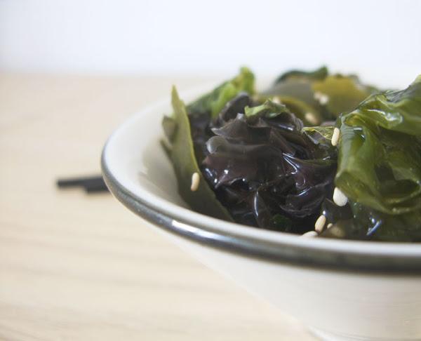 algas ecologia salud propiedades