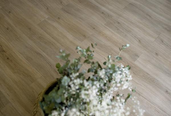 tres-studio-en-bricomania