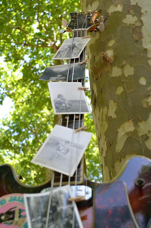 picnic campestre - Decoración de fiestas en All Lovely Party