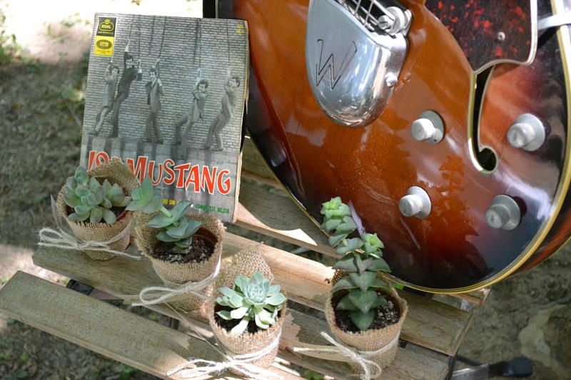 picnic campestre - Decoración de fiestas en All Lovely Party