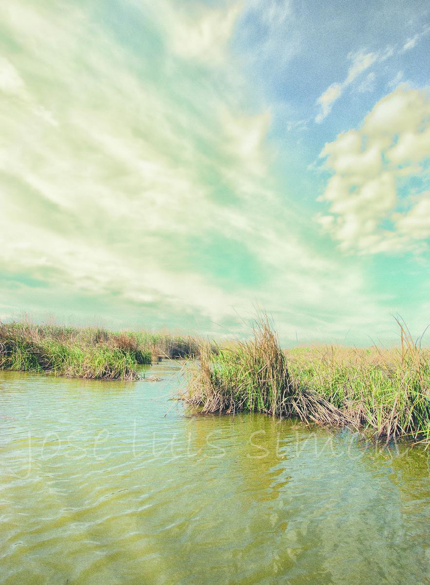 Fotografía por José Luis Simón