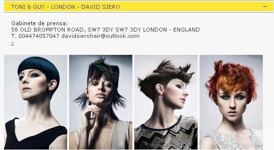 Toni Y Guy