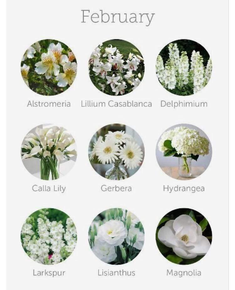 FB_IMG_1437489776594