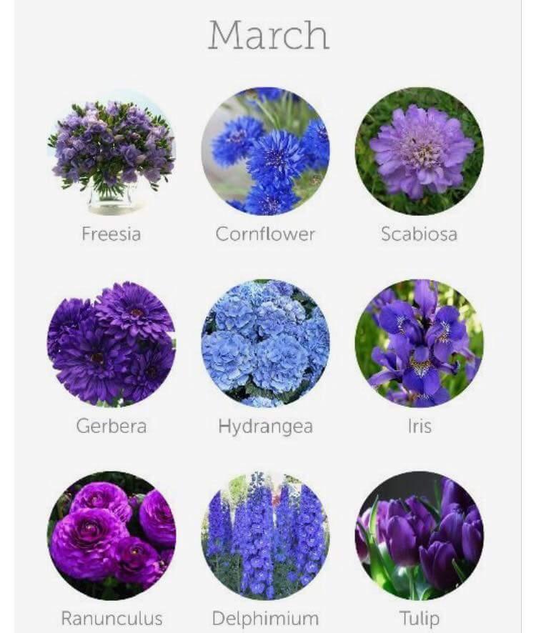 FB_IMG_1437489781706