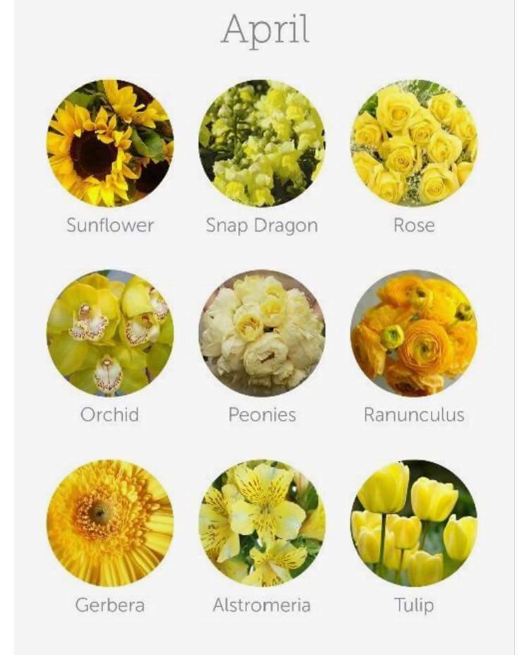 FB_IMG_1437489785318