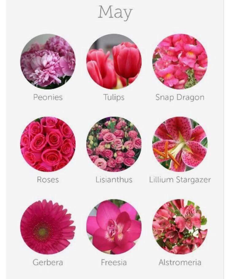 FB_IMG_1437489788370