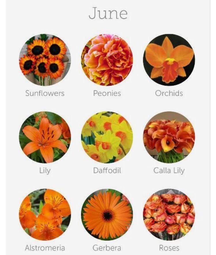 FB_IMG_1437489791158