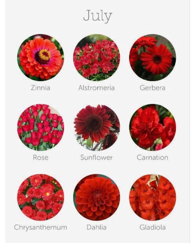 FB_IMG_1437489794047