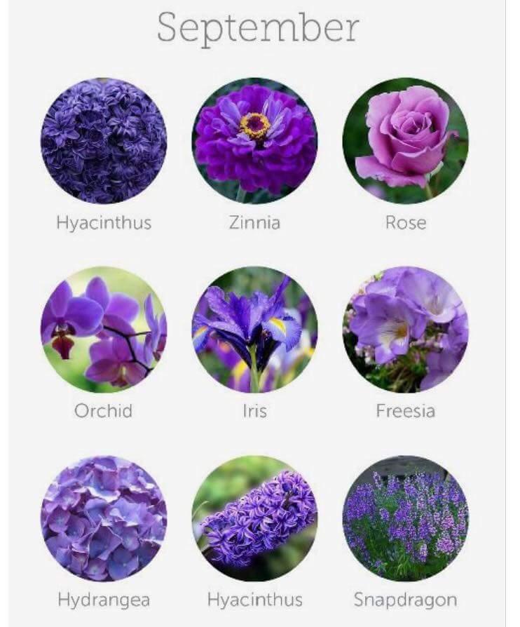 FB_IMG_1437489796655