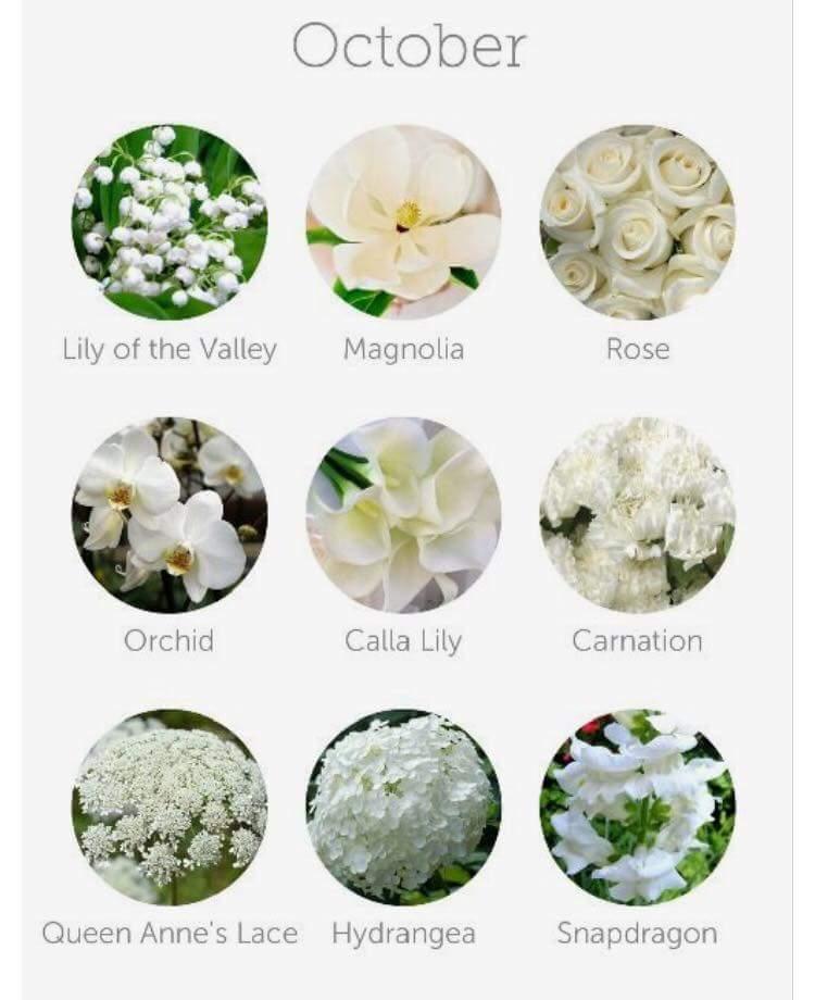 FB_IMG_1437489803032