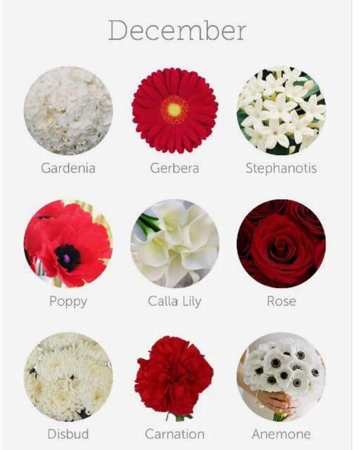 FB_IMG_1437489808461