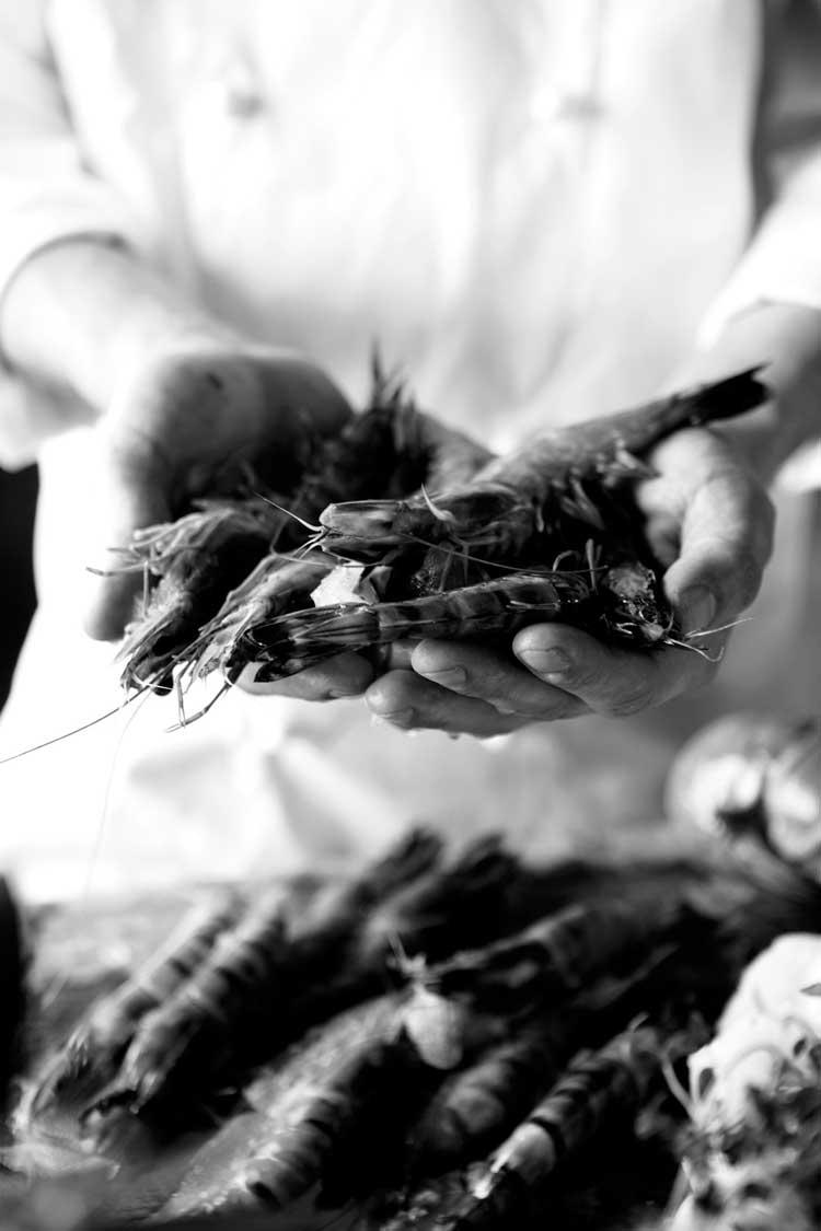 HomeLifeStyle-Nicolas-Vahe-gambas