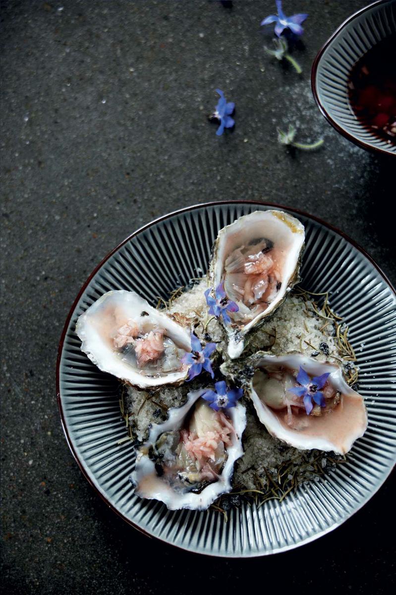 HomeLifeStyle-Nicolas-Vahe-ostras