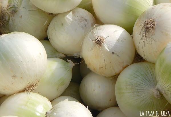 Cebollas frescas