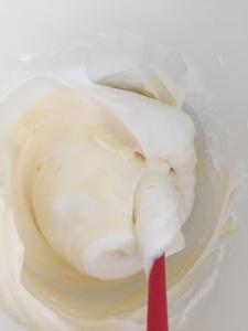 Tiramisu mango pasión.JPG