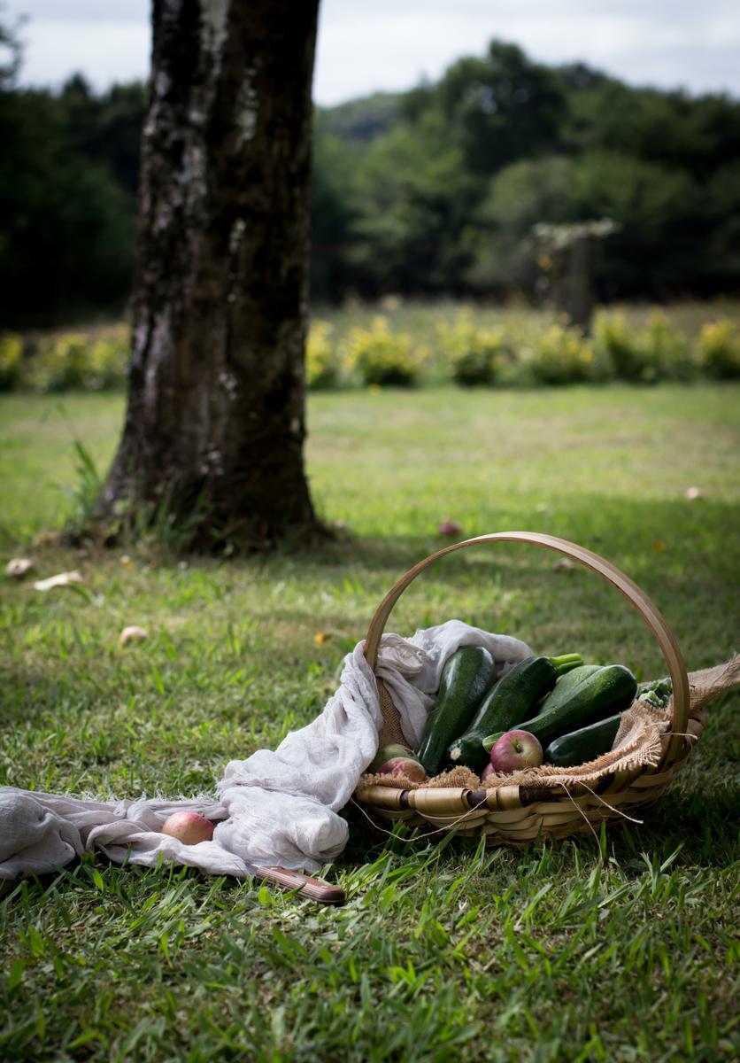Frittata de Calabacín, Feta y Albahaca, Tortilla de Calabacín, Frittata Photography, Frittata receta, receta calabacín, receta tortilla calabacín, Frittata foodstyling, estilismo culinario, blog, cocina, zucchini, courgette