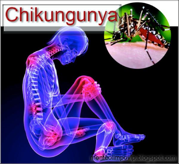 Remedios Naturales para el Chikungunya