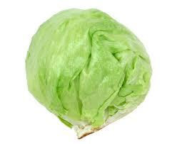 Lechuga iceberg