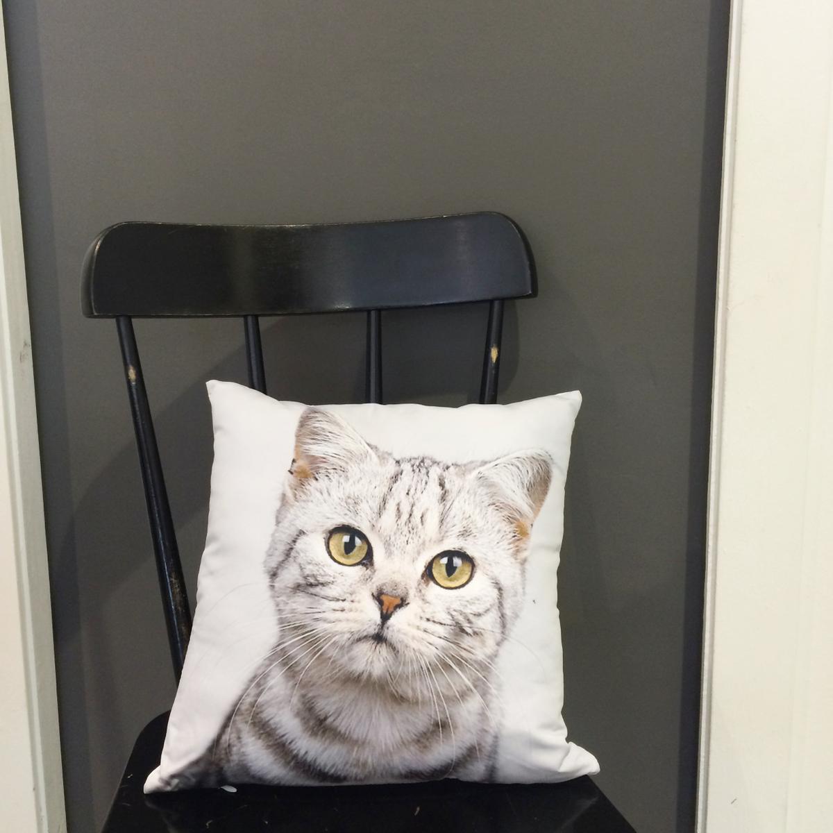 cojin-gato-maow-design-shop