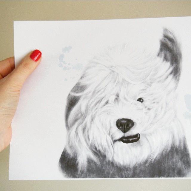 lamina-A4-bob-polarite-ilustracion-maow-design-shop-3